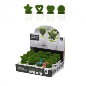 Small Plants in Ceramic Plants