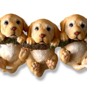 Light Labrador Puppies on Branch