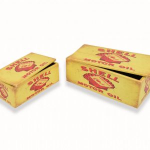 Shell - Colour Box set of 2