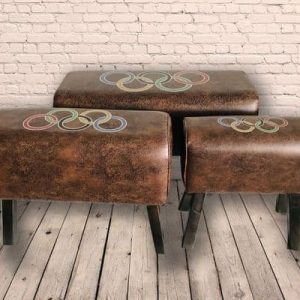Set Of 3 Olympic Ring Faux Leather Gym Pommel Horse Stools .SOLD OUT