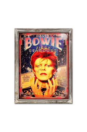 Bowie 44cm x 34cm Wood Framed Metal Art
