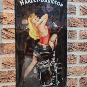 Tin Metal Sign 50 x 25 cm