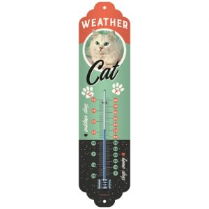 THERMOMETER