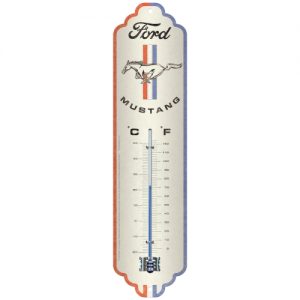 THERMOMETER