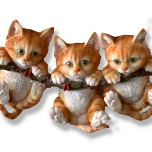 Ginger Tom Kitten Triplets On Branch