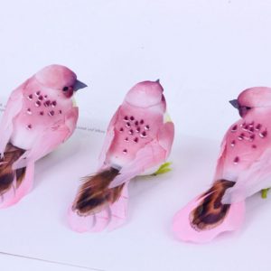 CLIP ON AWESOME BIRDS