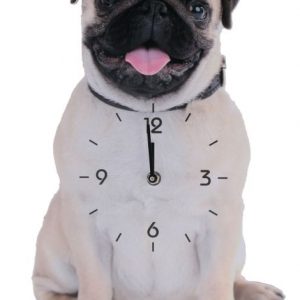 Wood wall clock dog design pendulum tail