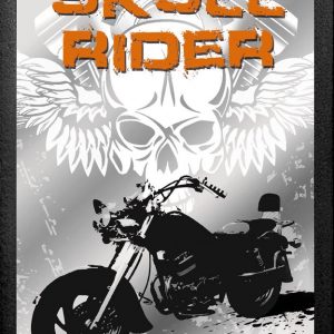 SKULL RIDER   Retro vintage wall frame mirror original licenced