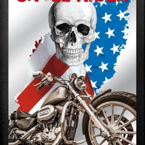 SKULL RIDER   Retro vintage wall frame mirror original licenced