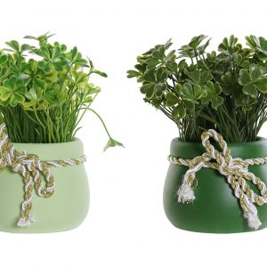 Cute decoration plants
