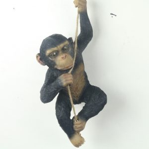 RESIN ART Rope Hanging Chimp 39cm H: 39.0 x W: 16.0 x D: 12.0cm