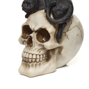 SKULL DESIGN WITH BLACK CAT